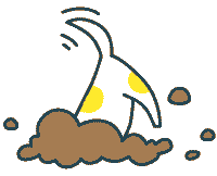 Custard the dog walking