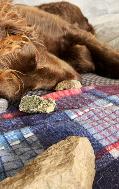 Hetty asleep with three special stones next to her