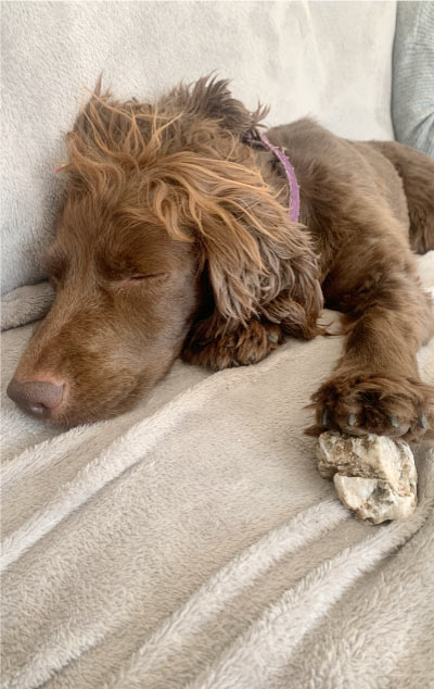 Hetty holding a special stone while asleep