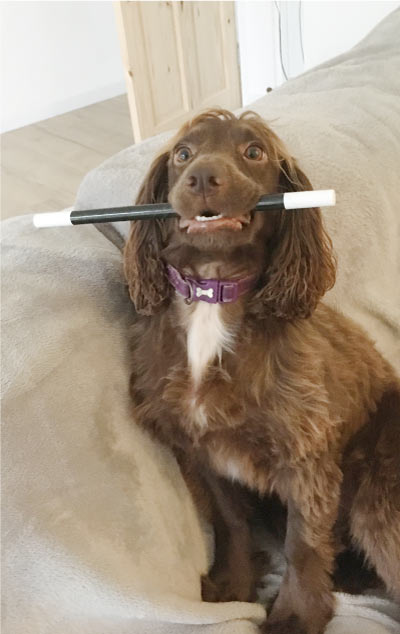 Hetty with a magic wand in her mouth