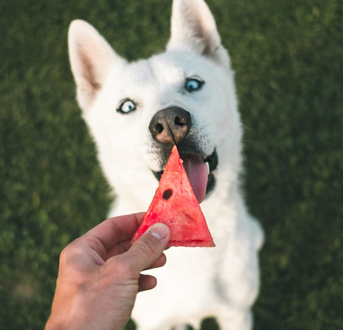 101 micro volunteering ideas