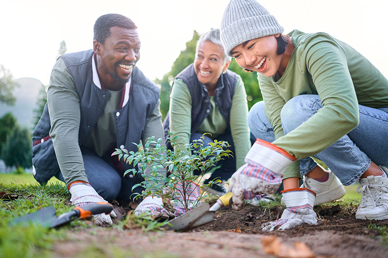 Why local is the future of volunteering -  Lessons from Devon Connect