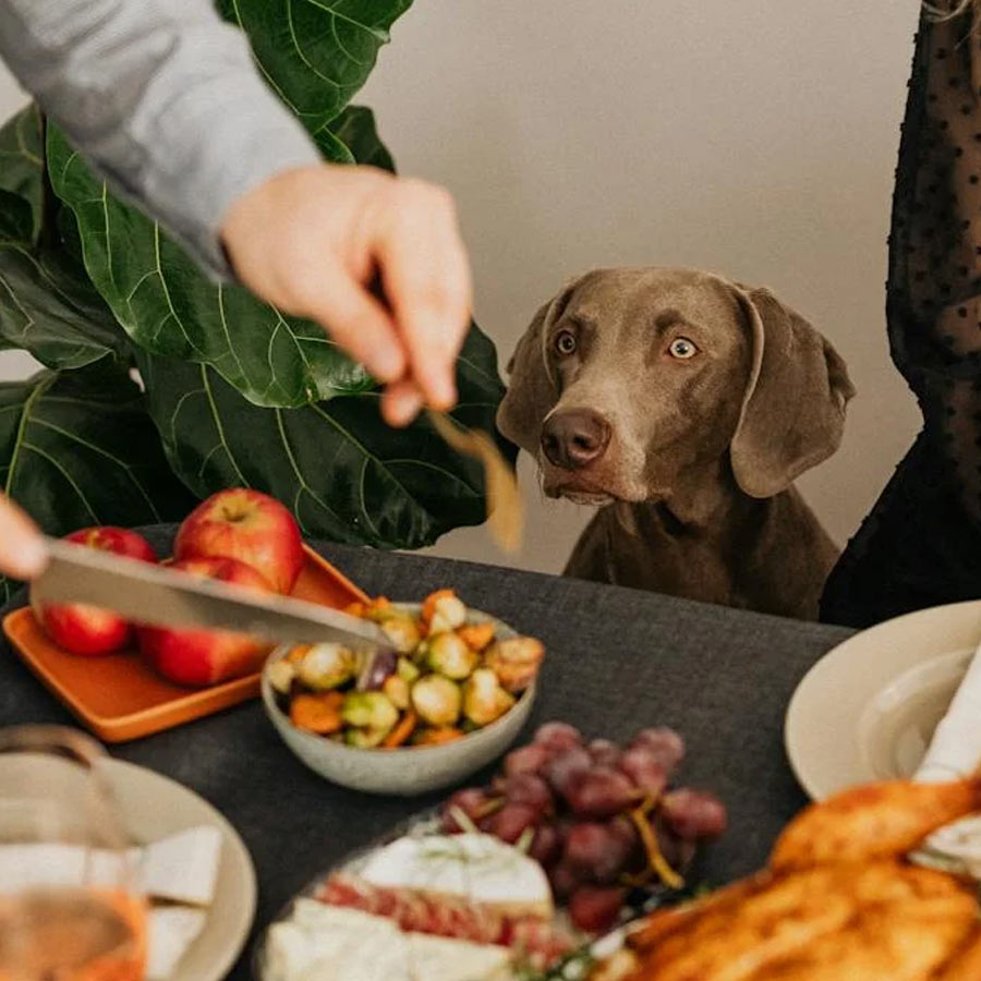 Why asking is a kindness